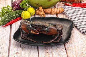 A black plate with a crab on it photo