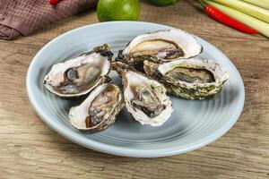 A plate of oysters on a table with a lime and a pepper photo