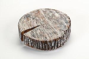 A close up of a tree stump with a slice taken out of it photo