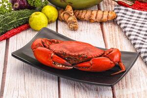 A crab on a plate with other vegetables and spices photo