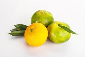 Three oranges and one lemon on a white surface photo