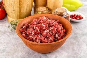 A bowl of ground beef with spices and herbs photo