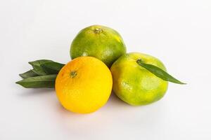 Three oranges and one lemon on a white background photo