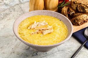 A bowl of soup with chicken and bread photo