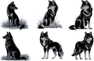 Set of Wolves in Various Poses - Black and White Illustration vector