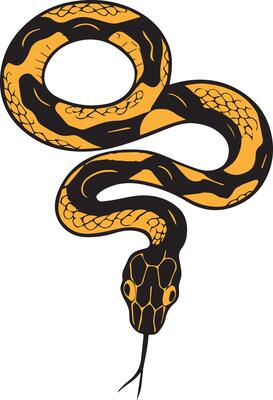Coiled Snake Illustration