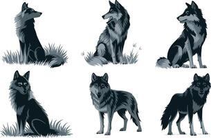 Collection of Wolves in Various Poses and Styles vector