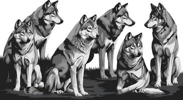 Set of six grayscale wolf illustrations in various poses and orientations. vector