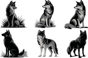 Collection of Black and Gray Wolves in Various Poses vector