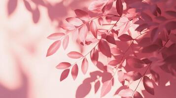 Leaves softly illuminated by warm light showcase a gentle blend of pink shades in a serene outdoor setting during early morning hours photo