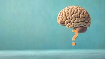 Display of a human brain symbolizing thought and curiosity against a soft blue background with a wooden question mark beneath it photo