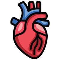 Simplified anatomical heart graphic design. vector