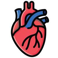 Anatomical heart illustration simplified design vector