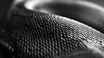 This close-up image of a textured black snake skin emphasizes the stunningly intricate patterns of its scales, beautifully illuminated by natural light photo