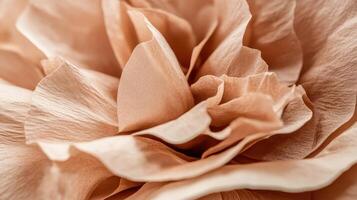 Beautiful close-up of a delicate beige rose flower showing intricate petals and texture in natural light photo