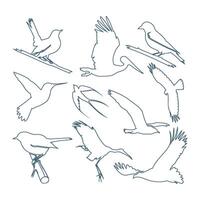 Bird Line Art Set Template Illustration Design. EPS 10. vector