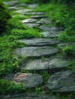 Stone path in the garden photo