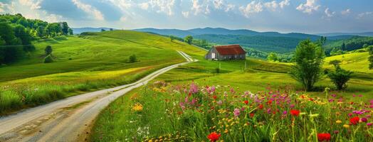 A road leads to a house in the middle of a field photo