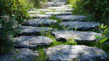 Stepping stones in the garden photo