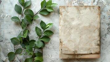 A wooden cutting board with leaves and a piece of paper photo