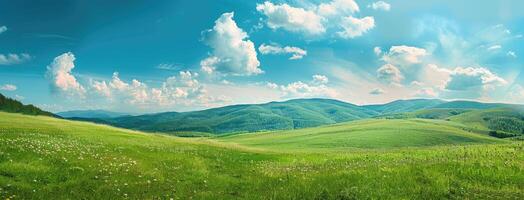 A beautiful green field with flowers and mountains photo