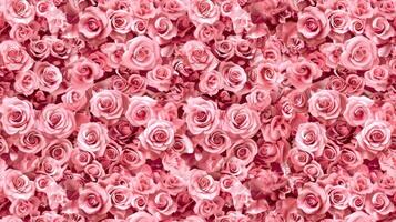 A large group of pink roses is shown in this image photo