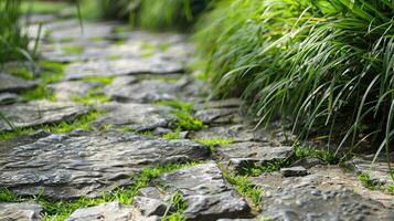 A path of rocks and grass in a garden photo