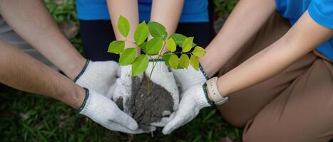 Collaborative Planting and Community Service. Volunteers carefully nurturing young plants to ensure a greener future. photo