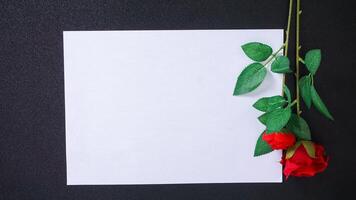 Artificial or fake stalk of red roses with blank paper for copy space isolated on black background photo