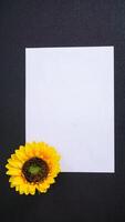 An artificial sunflower with blank paper for copy space isolated on black background photo