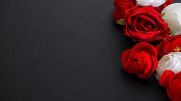Close up of beautiful artificial white and red rose buds with copy space isolated on white background photo