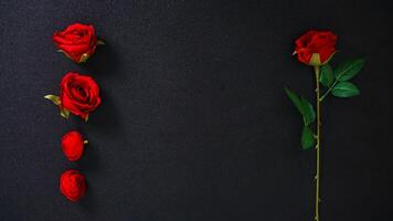 A stalk of artificial red rose and rose buds with copy space isolated on black background photo
