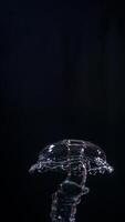 Unique shape of water splashes isolated on black background photo