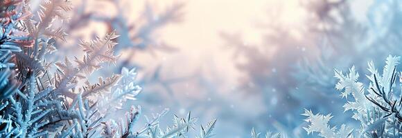 Frosty winter background wallpaper photo