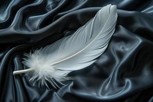 A white feather laying on a black satin cloth photo
