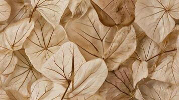 Delicate leaf patterns beautifully arranged on white background for nature enthusiasts and designers seeking unique botanical textures photo
