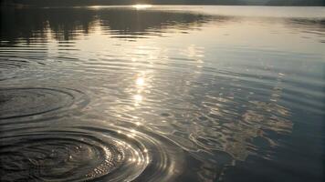 Sunlit water ripples glistening in serene lake scene for nature enthusiasts and photographers seeking tranquil outdoor backgrounds with golden reflections and calm waves photo