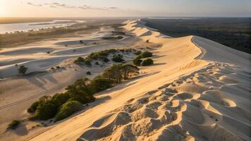 Aerial View of Majestic Sand Dunes at Sunset for Nature Enthusiasts and Travelers Seeking Serene Desert Landscapes with Trees and Water in the Background photo
