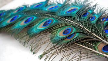 Vibrant Peacock Feather Display Close-Up for Nature Enthusiasts and Wildlife Photography Lovers, Stunning Blue Plumage in Detailed Macro Shot Perfect for Artistic Projects and Designers photo