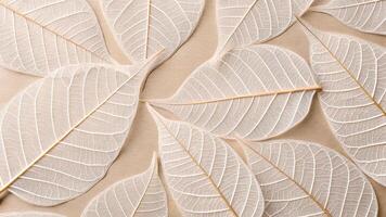 Delicate white leaves intricate patterns nature background for designers and artists seeking elegant botanical elements for creative projects photo