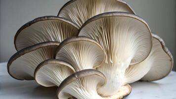 Mushroom cluster detailed close-up for nature enthusiasts and culinary experts exploring unique textures and patterns in gourmet ingredients photo