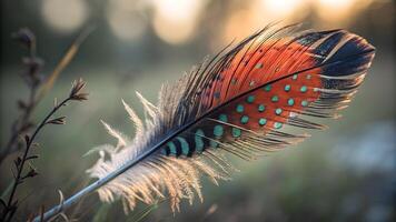 Vibrant Peacock Feather Close-Up in Sunlit Forest for Nature Enthusiasts and Wildlife Photographers, Stunning Colors and Patterns Captured in High Detail for Artistic and Educational Purposes photo