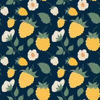Yellow raspberry hand drawn illustrations. Raspberries pattern seamless vector