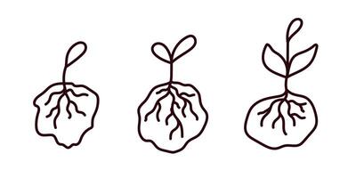 Growth stages of a plant depicted through simple line art illustrations vector