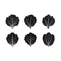 Kale Graphic Design File - Fresh and Crisp Vegetables Illustration vector