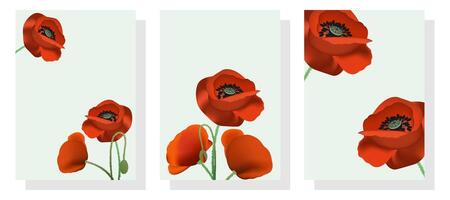 Set of cards with red poppies vector