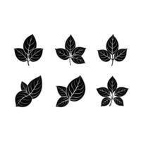 basil leaf icon, perfect for print and digital design projects vector