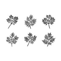 Minimal dill sprig icon in line art, perfect for digital and print designs. vector