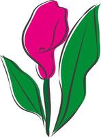 illustration of calla lily in line art style. Stylized calla lily. Color spots. one line flower illustration, minimalistic illustration, black linear sketch, batan icon. emblem, logo, icon vector