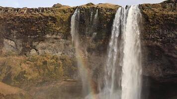 Slow motion of the majestic seljalandsfoss waterfall with rainbow in iceland video